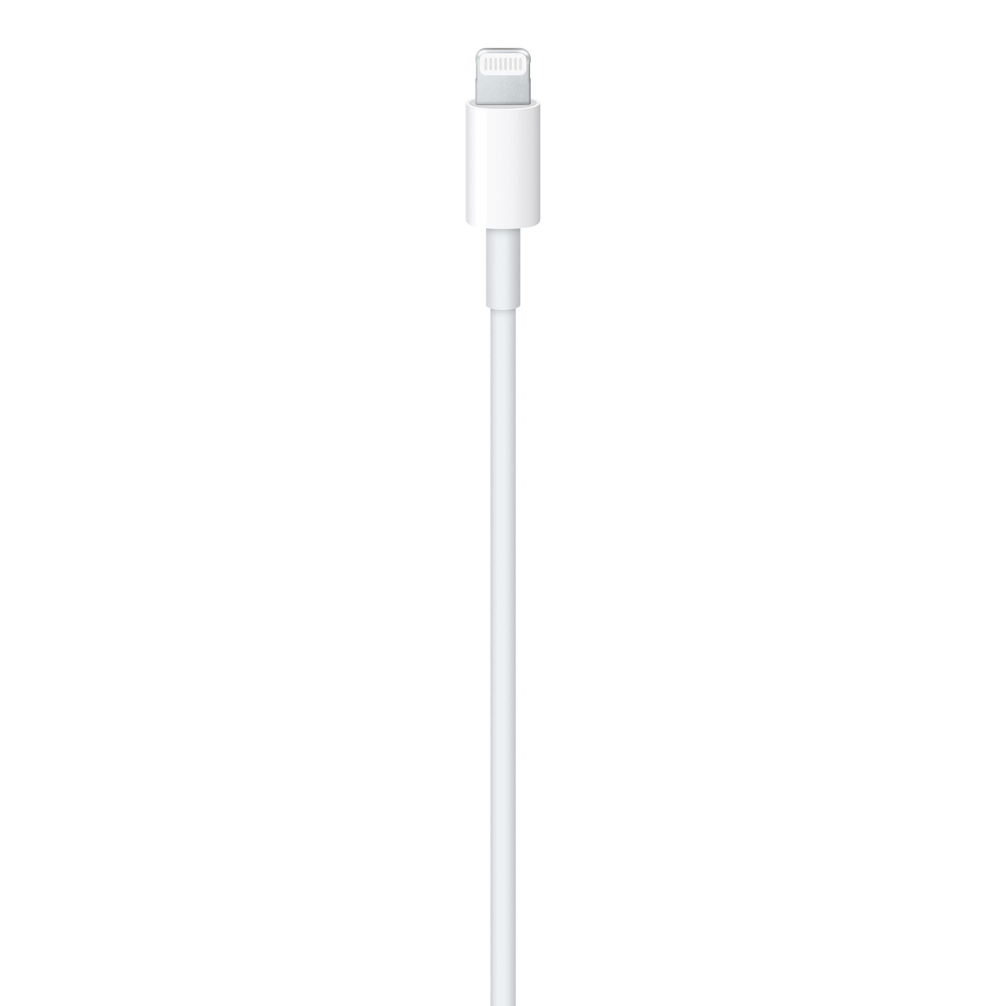 Câble USB-C vers Lightning 1M